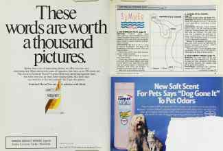 Better Homes & Gardens July 1988 Magazine Article: Page 40