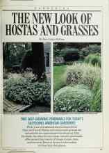 Better Homes & Gardens August 1988 Magazine Article: THE NEW LOOK OF HOSTAS AND GRASSES