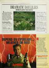 Better Homes & Gardens August 1988 Magazine Article: DRAMATIC DAYLILIES