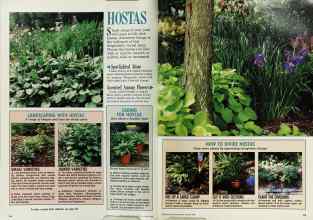 Better Homes & Gardens August 1988 Magazine Article: Page 84