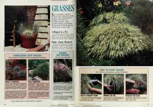Better Homes & Gardens August 1988 Magazine Article: Page 86