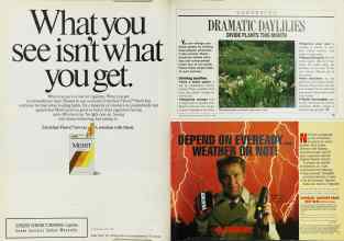 Better Homes & Gardens August 1988 Magazine Article: Page 94