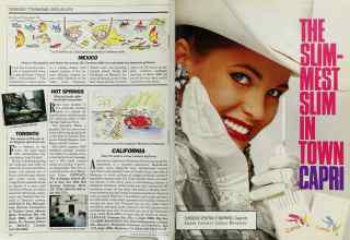 Better Homes & Gardens August 1988 Magazine Article: Page 140
