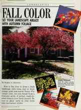 Better Homes & Gardens September 1988 Magazine Article: FALL COLOR