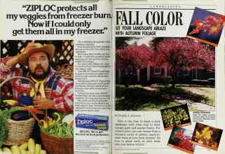 Better Homes & Gardens September 1988 Magazine Article: Page 104