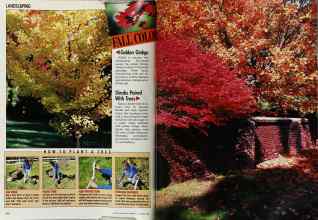 Better Homes & Gardens September 1988 Magazine Article: Page 106