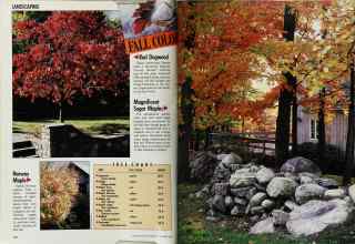 Better Homes & Gardens September 1988 Magazine Article: Page 108