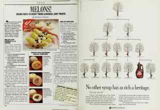 Better Homes & Gardens September 1988 Magazine Article: Page 164