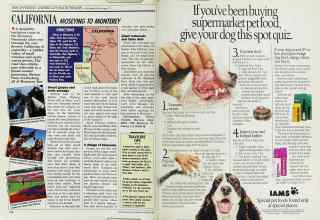 Better Homes & Gardens September 1988 Magazine Article: Page 176