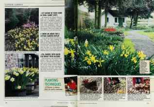 Better Homes & Gardens October 1988 Magazine Article: Page 126