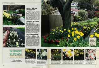 Better Homes & Gardens October 1988 Magazine Article: Page 128