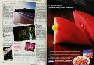 Better Homes & Gardens October 1988 Magazine Article: Page 190