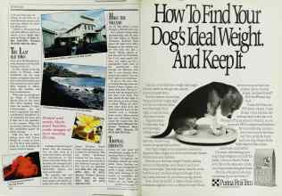 Better Homes & Gardens October 1988 Magazine Article: Page 192