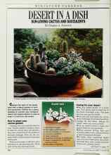 Better Homes & Gardens November 1988 Magazine Article: DESERT IN A DISH