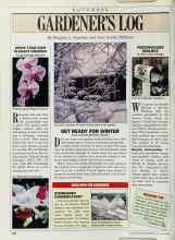 Better Homes & Gardens November 1988 Magazine Article: GROW YOUR OWN ELEGANT ORCHIDS