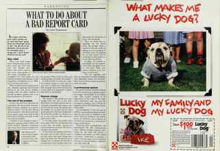 Better Homes & Gardens November 1988 Magazine Article: Page 66