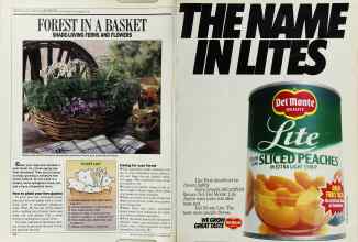 Better Homes & Gardens November 1988 Magazine Article: Page 130