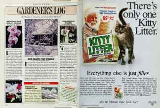 Better Homes & Gardens November 1988 Magazine Article: Page 132
