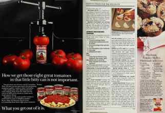 Better Homes & Gardens November 1988 Magazine Article: Page 172