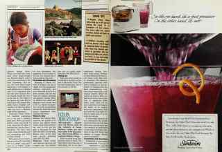 Better Homes & Gardens November 1988 Magazine Article: Page 206