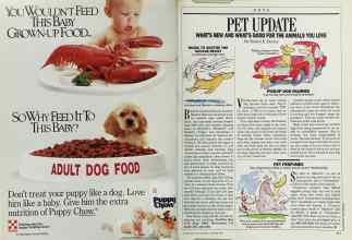 Better Homes & Gardens November 1988 Magazine Article: Page 210