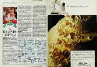 Better Homes & Gardens December 1988 Magazine Article: Page 78