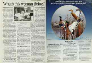 Better Homes & Gardens January 1989 Magazine Article: Page 2