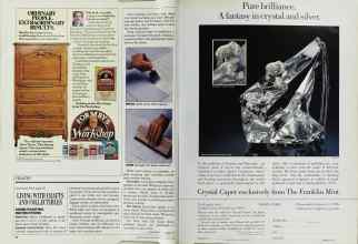 Better Homes & Gardens January 1989 Magazine Article: Page 54