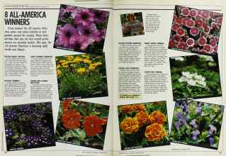 Better Homes & Gardens January 1989 Magazine Article: Page 106