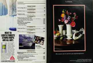 Better Homes & Gardens February 1989 Magazine Article: Page 6