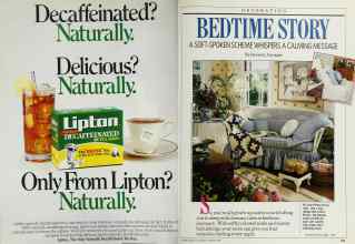 Better Homes & Gardens February 1989 Magazine Article: Page 102