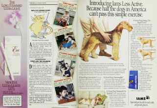 Better Homes & Gardens February 1989 Magazine Article: Page 158