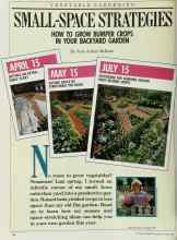Better Homes & Gardens March 1989 Magazine Article: SMALL-SPACE STRATEGIES