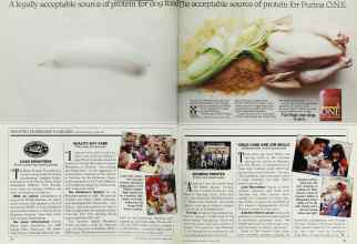 Better Homes & Gardens March 1989 Magazine Article: Page 24