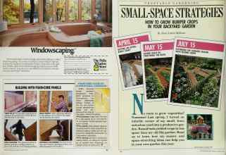 Better Homes & Gardens March 1989 Magazine Article: Page 93