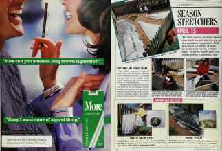 Better Homes & Gardens March 1989 Magazine Article: Page 95