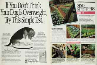 Better Homes & Gardens March 1989 Magazine Article: Page 99