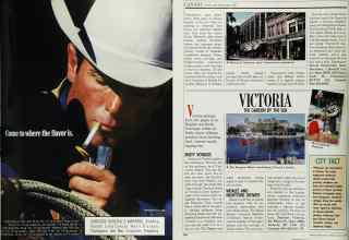 Better Homes & Gardens March 1989 Magazine Article: Page 163