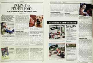Better Homes & Gardens March 1989 Magazine Article: PICKING THE PERFECT POOCH