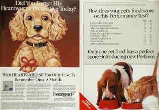 Better Homes & Gardens March 1989 Magazine Article: Page 171