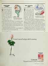 Better Homes & Gardens April 1989 Magazine Article: STRETCHING A POINT