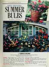 Better Homes & Gardens April 1989 Magazine Article: SIMPLY SENSATIONAL SUMMER BULBS