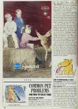 Better Homes & Gardens April 1989 Magazine Article: COMMON PET PROBLEMS
