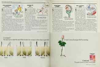 Better Homes & Gardens April 1989 Magazine Article: Page 50