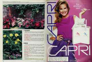 Better Homes & Gardens April 1989 Magazine Article: Page 100