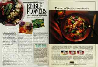 Better Homes & Gardens April 1989 Magazine Article: Page 142