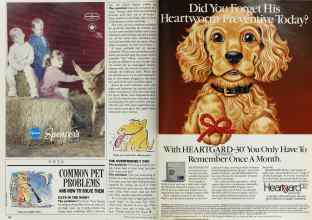 Better Homes & Gardens April 1989 Magazine Article: Page 160