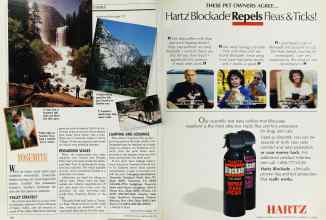 Better Homes & Gardens April 1989 Magazine Article: Page 174