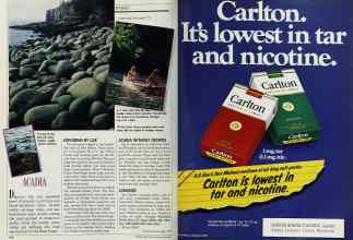 Better Homes & Gardens April 1989 Magazine Article: Page 176