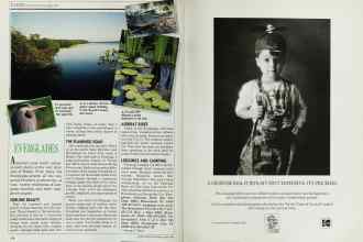 Better Homes & Gardens April 1989 Magazine Article: Page 178